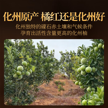 贡苑15年化州橘红片150g正宗金毛胎果切片广东化州原产头茬咳痰泡水喝