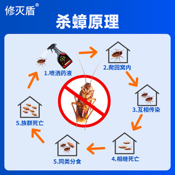 修灭盾杀虫剂喷雾呋虫胺1500ml蟑螂药蚂蚁臭虫跳蚤虫卵双杀室内小飞虫