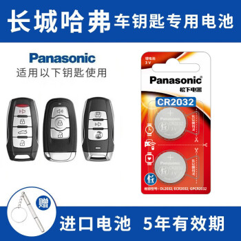 松下（Panasonic）CR2032汽车钥匙电池适用于哈佛哈弗H6 H2s H4 H7 H9 M6 F5 F7长城炮初恋大狗赤兔神兽遥控器电池 CR2032【2粒套装】