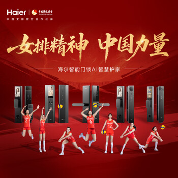 海尔（Haier）智能门锁密码锁入户门指纹锁防盗门锁电子锁T15智能锁执手锁
