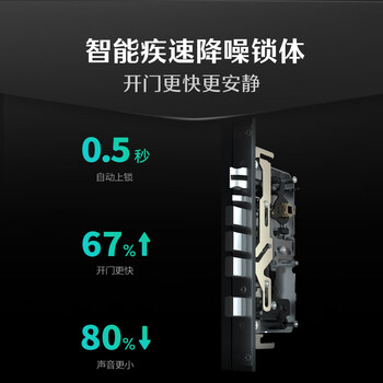 德施曼（DESMAN）智能门锁大圣系列全自动双核指静脉识别Q5S