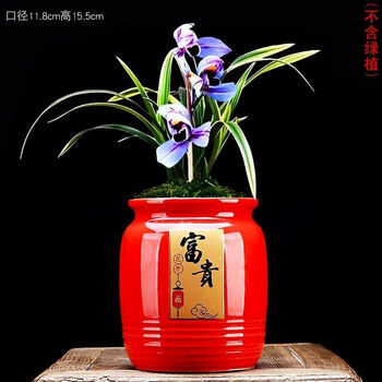 红意花盆品牌及商品- 京东