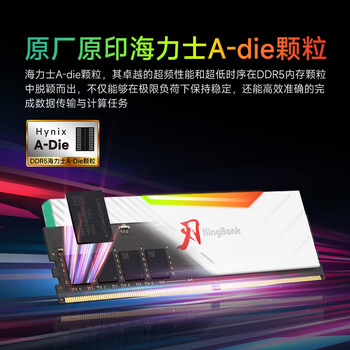 金百达（KINGBANK）32GB(16GBX2)套装 DDR5 6800 台式机内存条海力士A-die颗粒 白刃RGB灯条 C32 Deepseek硬件