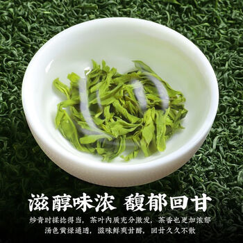 越峰一级高山云雾绿茶春茶新茶叶浓香绿茶自己喝实惠口粮好茶袋装250g