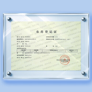 拜灭士果蝇小飞虫诱捕器1个装杀蝇饵剂果蝇消灭神器苍蝇药杀虫剂