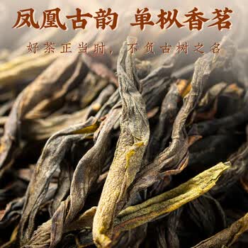 珍茶师乌龙茶凤凰单枞鸭屎香特级500g礼盒装潮州单丛茶叶节日送礼