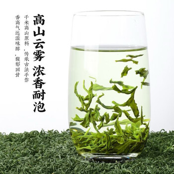 越峰一级高山云雾绿茶春茶新茶叶浓香绿茶自己喝实惠口粮好茶袋装250g