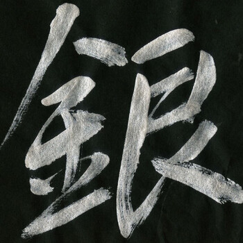 芬尚 玄采银墨 银墨汁200克 毛笔书法题字练字写对联描边小楷抄写字帖临摹 银色墨液作品用