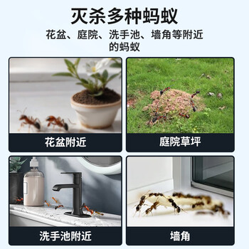 山甲牌蚂蚁药家用室内端灭小黑黄蚂蚁除杀红火蚁灭蚁饵剂胶饵杀虫剂15g