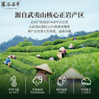 溪谷留香真脉系列 老枞水仙武夷岩茶乌龙茶正岩茶叶盒装100g 送礼礼品