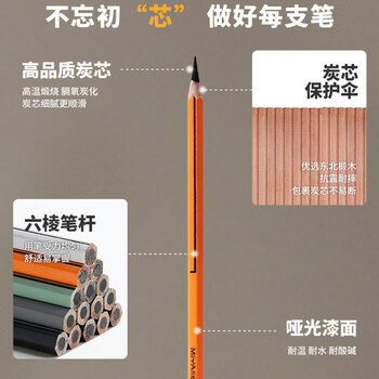 米娅炭笔美术生专用素描铅笔软碳笔速写笔特软全碳艺术家系列绘画联考状元黑色炭笔工具套装M系速写10支/盒 速写 马克笔绘画