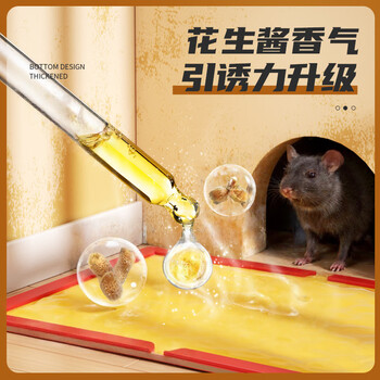 绿叶(Green Leaf)粘鼠板超强力粘板老鼠贴灭鼠老鼠神器6张装GL1005 绿叶(Green Leaf)粘鼠板超强力粘板老鼠贴灭鼠老鼠神器6张装GL1005