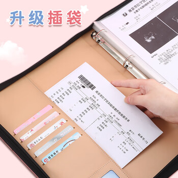 嘉然恒马年手提式孕检收纳册产检报告单孕妈妈孕期怀孕记录册资料b超体检查单档案册大容量收集册 粉色