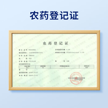 安速呋虫胺杀虫饵剂灭苍蝇小飞虫果蝇日本进口杀蝇杀虫诱捕器1个