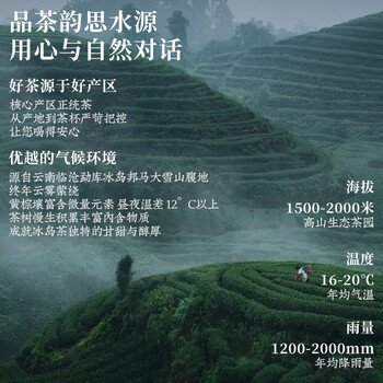 东方大师茶叶 普洱茶云南古树普洱生茶冰岛普洱散茶生普大分量袋装500g