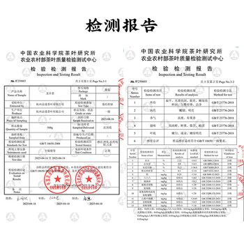 梅府茗家2025年新茶明前钱塘龙井茶叶绿茶纸包装送礼送长辈自己喝200g 梅府茗家2025年新茶明前钱塘龙井茶叶绿茶纸包装送礼送长辈自己喝200g