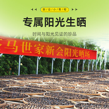 茶马世家普洱茶新会小青柑正宗生晒新会陈皮熟普茶叶端午节送礼罐装250g