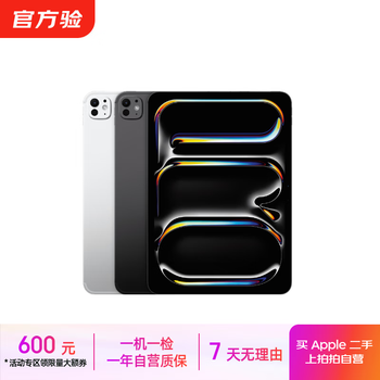 ipad pro 11 - 京东