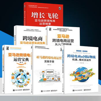 跨境电商运营 增长飞轮+实战宝典+亚