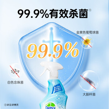 滴露（Dettol）浴室清洁剂750ml玻璃厕所卫生间马桶清洁剂泡沫洁厕液喷雾