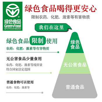 日照绿茶2026新茶绿色认证浓香型板栗香250g老味道礼盒山东特产礼品