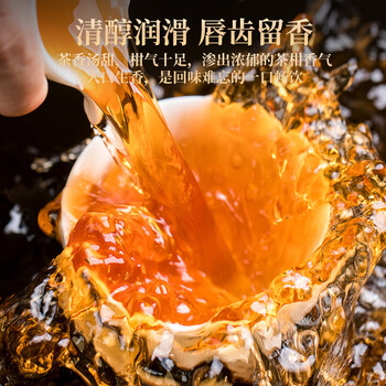 天洲溪陈皮之乡新会小青柑 云南熟普洱 250g茶叶礼盒送人领导长辈礼品