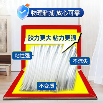 坤宁王粘鼠板超强力粘板灭老鼠贴药一窝端神器驱捕鼠器家用大号加厚10张