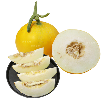 山东久红瑞甜瓜 伊丽莎白黄金瓜 黄河蜜香瓜 5斤 2-3个