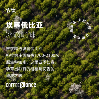 吉饮 咖啡氮气冰滴液16ml*6支 胶囊咖啡 浓缩速溶黑咖啡   小蓝管