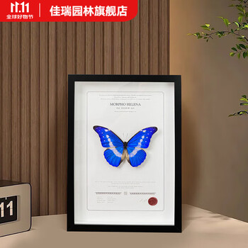 大蓝闪蝶价格报价行情- 京东