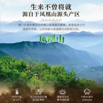 山里货（shanlihuo）乌龙茶传统凤凰单枞鸭屎香特级500g足火端午礼盒单丛茶父亲节礼