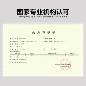 多多灭蟑螂药杀蟑饵剂8个家用屋贴非无毒全窝端胶饵一窝端灭蟑螂神器