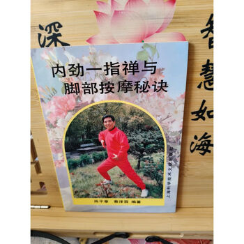 中国武術「少林内勁一指禅　和書と中文書籍」2冊セット 中国武術「少林内勁一指禅 和書と中文書籍」2冊セット