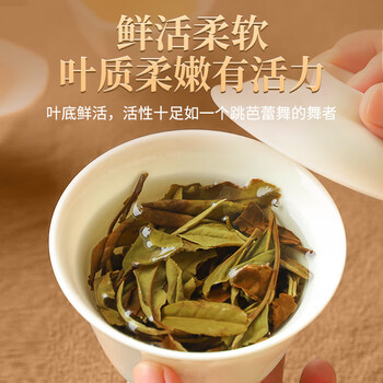 传奇会茶叶福鼎白茶白牡丹木箱散茶老白茶礼盒装500g自己喝送礼