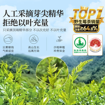贡苑莓茶560g特级野生张家界莓茶芽尖降藤霉三月2026新茶高端午节礼盒