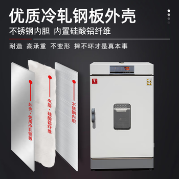 TAISITE泰斯特电热恒温干燥箱小型实验室烤箱WGL-230D