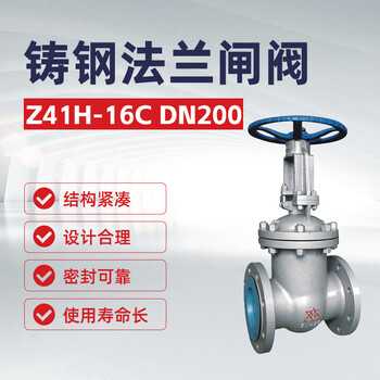 双恒 铸钢法兰闸阀 Z41H-16C DN200【1台】