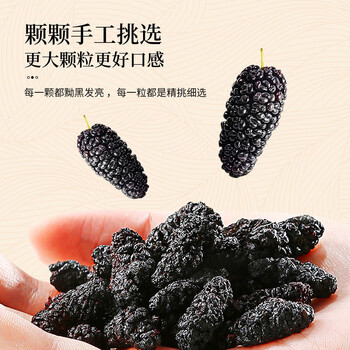 同仁堂桑葚干免洗无沙黑桑椹果干即食桑葚颗粒泡水特级桑椹子