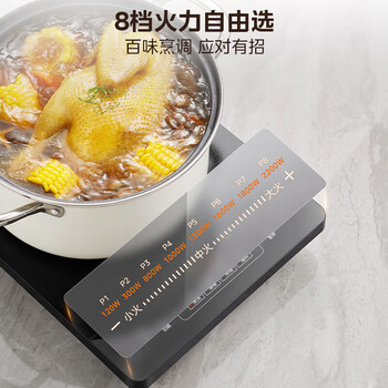 美的（Midea）电磁炉【猛火爆炒】2200W大火力 4D防水超薄耐用黑晶面板 多功能家用电磁灶电火锅炉 C22-RT22E01	