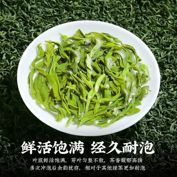 越峰一级高山云雾绿茶春茶新茶叶浓香绿茶自己喝实惠口粮好茶袋装250g