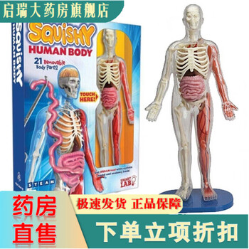 人体模型玩具图片- 京东