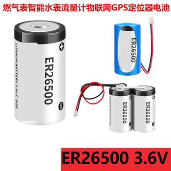 鑫凯辰 ER26500 3.6V智能水表电池燃气表RAM流量计表PLC锂电池加2.54插头