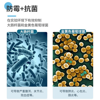 茶花（CHAHUA）塑料盆S号抗菌银离子婴儿洗脸盆子内裤水盆方盆PP材质防霉多场景适用材料厚实