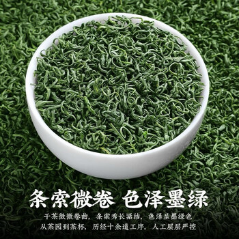 越峰一级高山云雾绿茶春茶新茶叶浓香绿茶自己喝实惠口粮好茶袋装250g