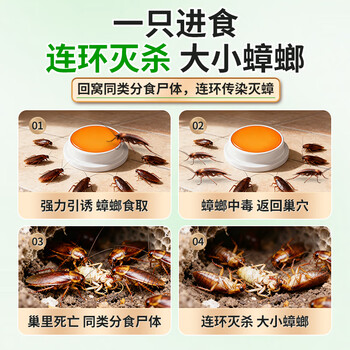 巨奇猫山王蟑螂药杀蟑饵剂全窝端家用非无毒屋贴胶饵驱灭蟑神器8枚/盒