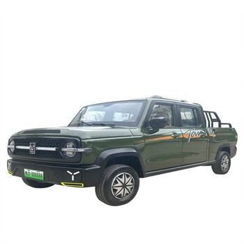 坦克赛博电动四轮皮卡车老头乐油电客货两用拉货车双排代步小汽车