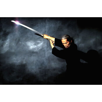 忍者短刀品牌及商品- 京东