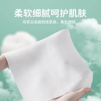 珍爱卫生湿巾 99.9%杀菌清洁湿纸巾80片*12包