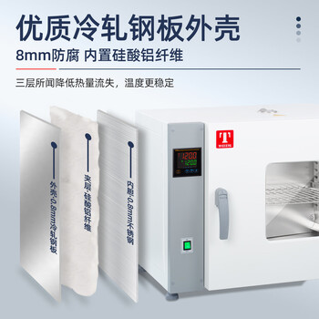 泰斯特鼓风干燥箱实验烘箱工业烤箱电热恒温箱高温箱TW TWS71L