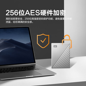 西部数据（Western Digital）移动硬盘 My Passport Ultra系列 2.5英寸机械硬盘 加密存储type-c接口 手机笔记本电脑外接 4TB银